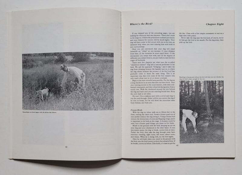 Training Your Dog for Birdwork