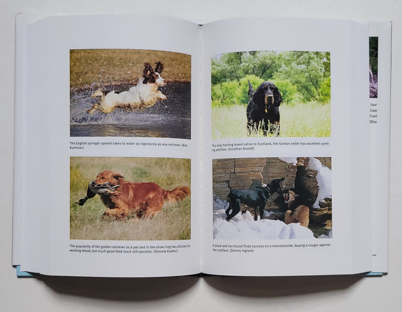 The Ultimate Hunting Dog Reference Book : A Comprehensive Guide to More Than 60 Sporting Breeds