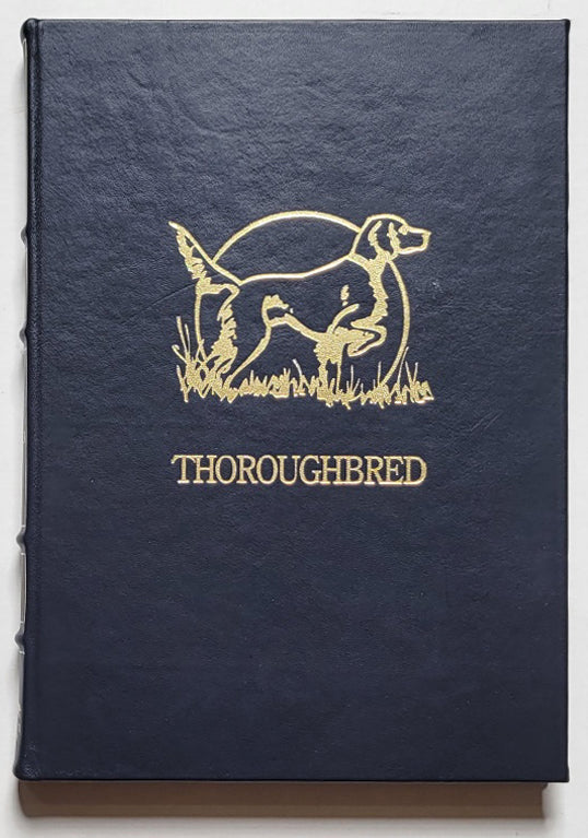 Thoroughbred