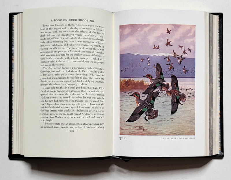 A Book on Duck Shooting