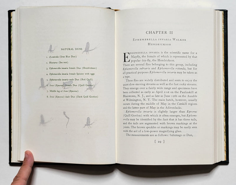 A Book of Trout Flies