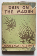 Rain on the Marsh