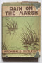 Rain on the Marsh