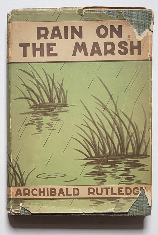Rain on the Marsh