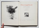 Thoroughbred