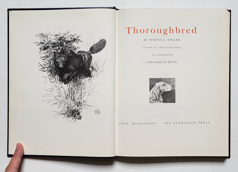 Thoroughbred