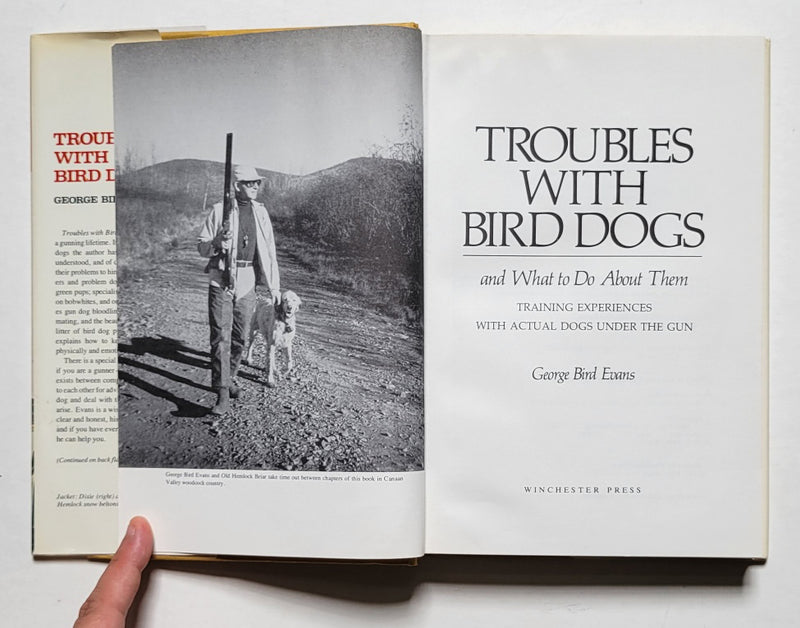 Troubles with Bird Dogs