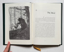 Big Woods