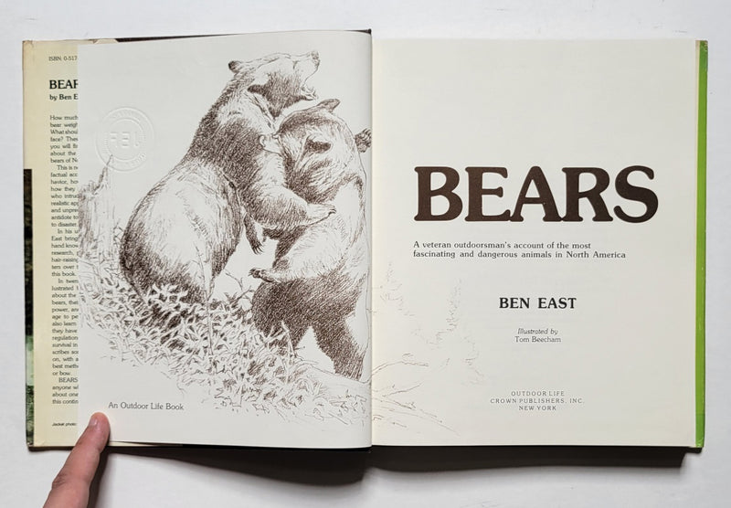 Bears
