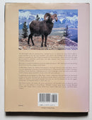 Wild Sheep Country