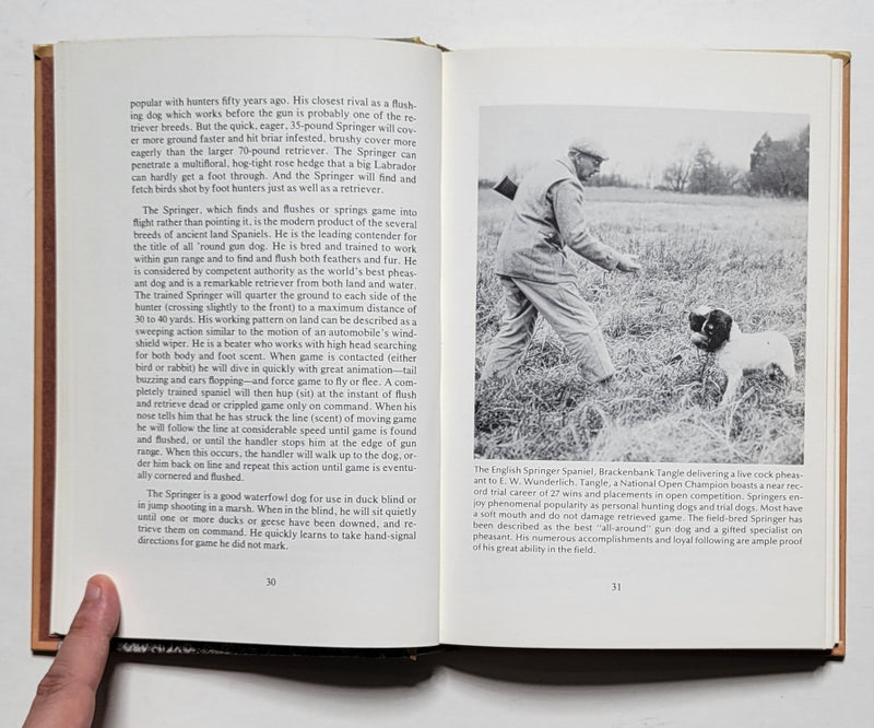 How to Train Your Own Gun Dog