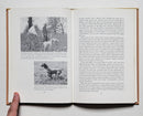 How to Train Your Own Gun Dog
