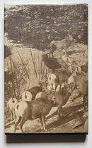 Hunting in the Rockies