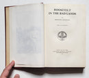 Roosevelt in the Bad Lands