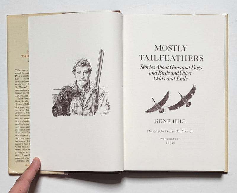 Mostly Tailfeathers