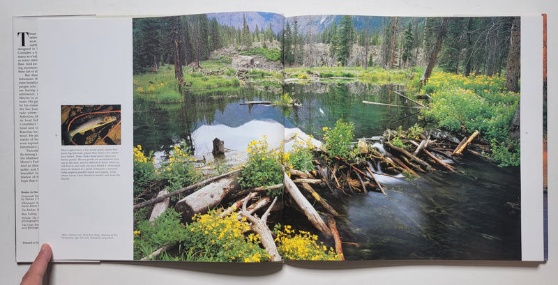 Streamside Reflections: Fly-Fishing for Trout and Salmon