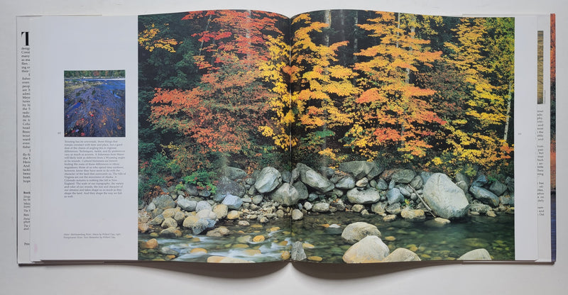Streamside Reflections: Fly-Fishing for Trout and Salmon