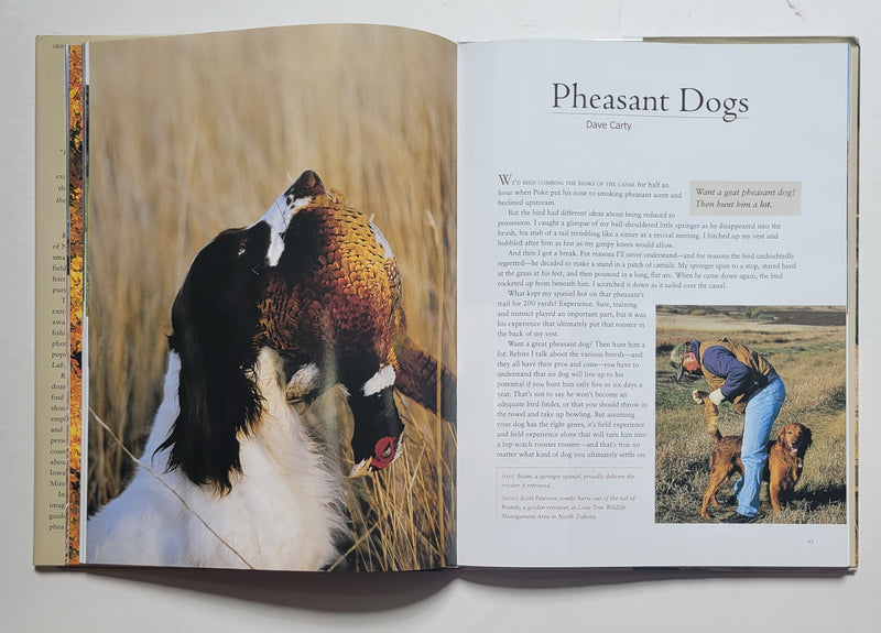 Rooster!: A Tribute to Pheasant Hunting