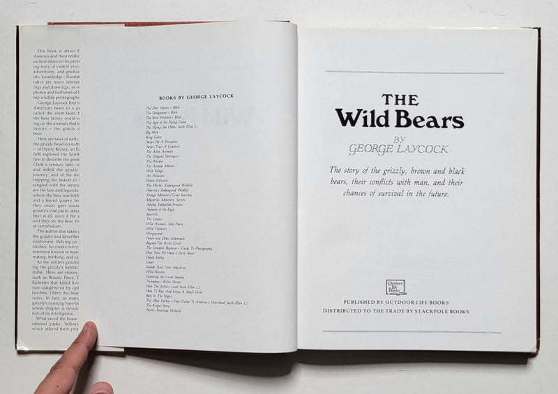 The Wild Bears