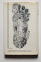 Bigfoot: The Yeti and Sasquatch in Myth and Reality