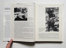 The Book of the Black Bear