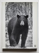 The Book of the Black Bear