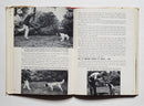 Gun Dog