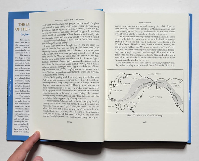 The Great Arc of the Wild Sheep