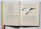 The History of Winchester Firearms 1866-1975
