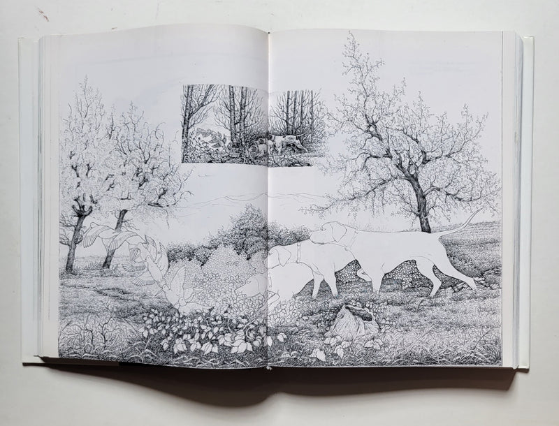 Il Grande Libro Delle Incisioni (Modern Engravings)
