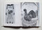 Il Grande Libro Delle Incisioni (Modern Engravings)