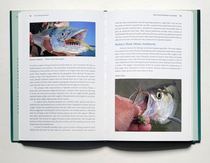 Fly Fishing the Surf: A Comprehensive Guide to Surf and Wade Fishing from Maine to Florida