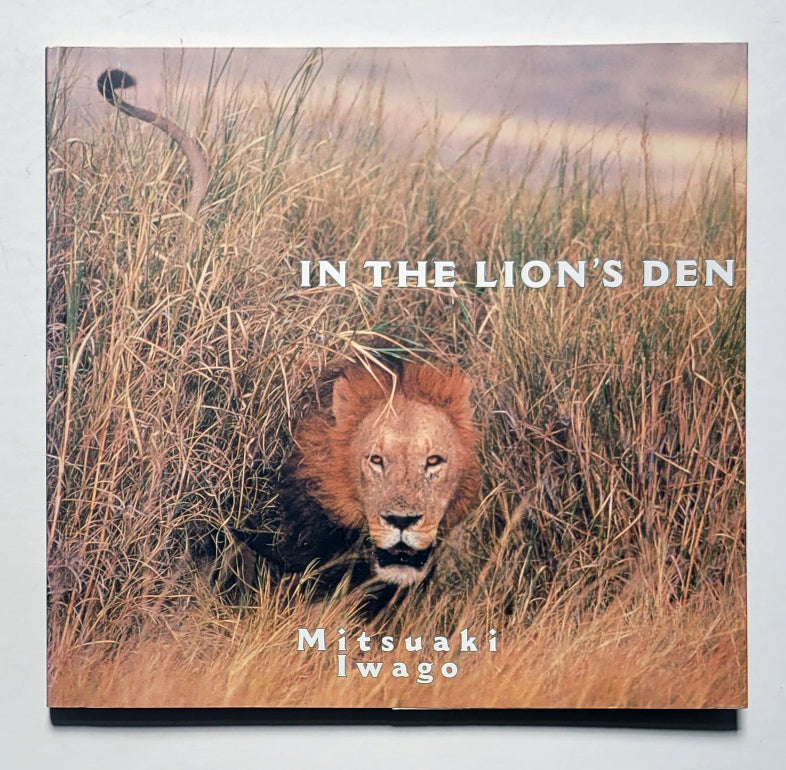 In the Lion's Den