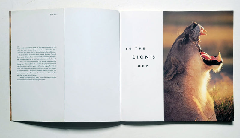 In the Lion's Den