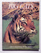 Big Cats: Great Creatures of the World