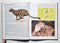 Big Cats: Great Creatures of the World