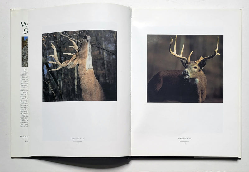 Wildlife of the South: The Photographs of Paul T. Brown