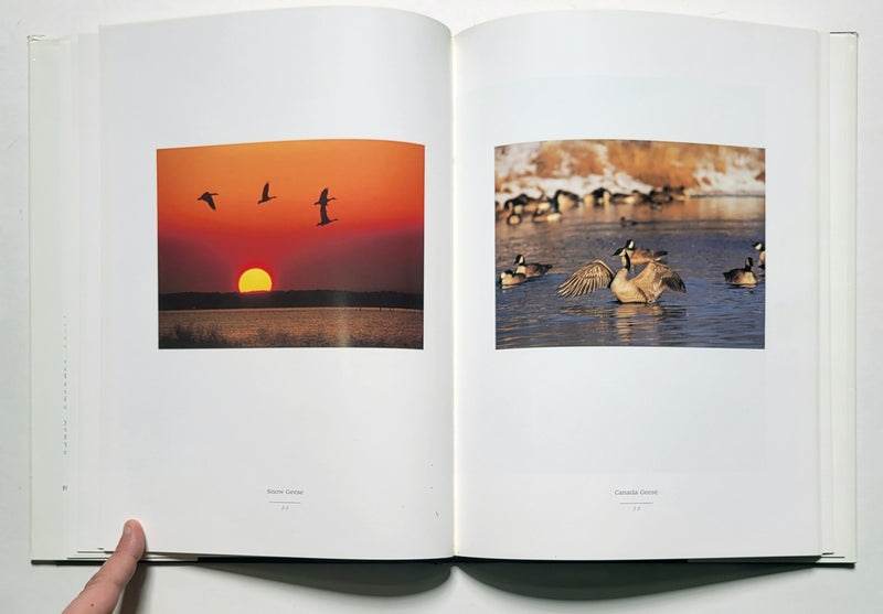 Wildlife of the South: The Photographs of Paul T. Brown