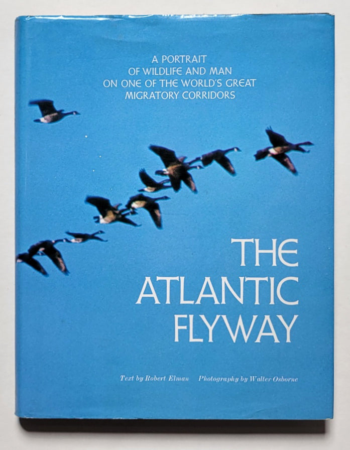 The Atlantic Flyway