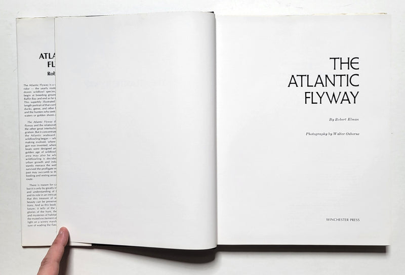 The Atlantic Flyway