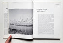 The Atlantic Flyway