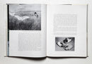 The Atlantic Flyway