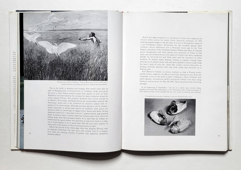 The Atlantic Flyway