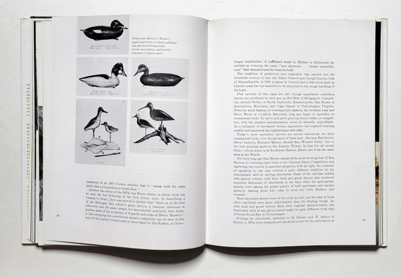 The Atlantic Flyway