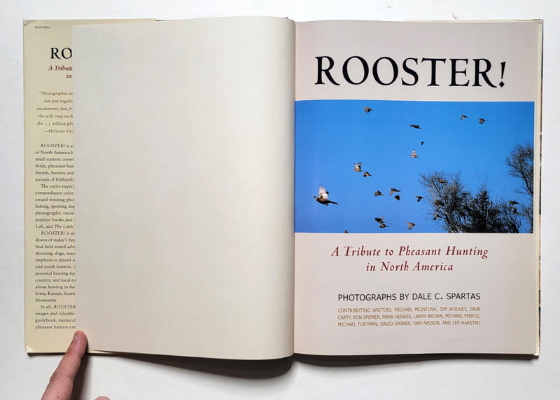Rooster!: A Tribute to Pheasant Hunting