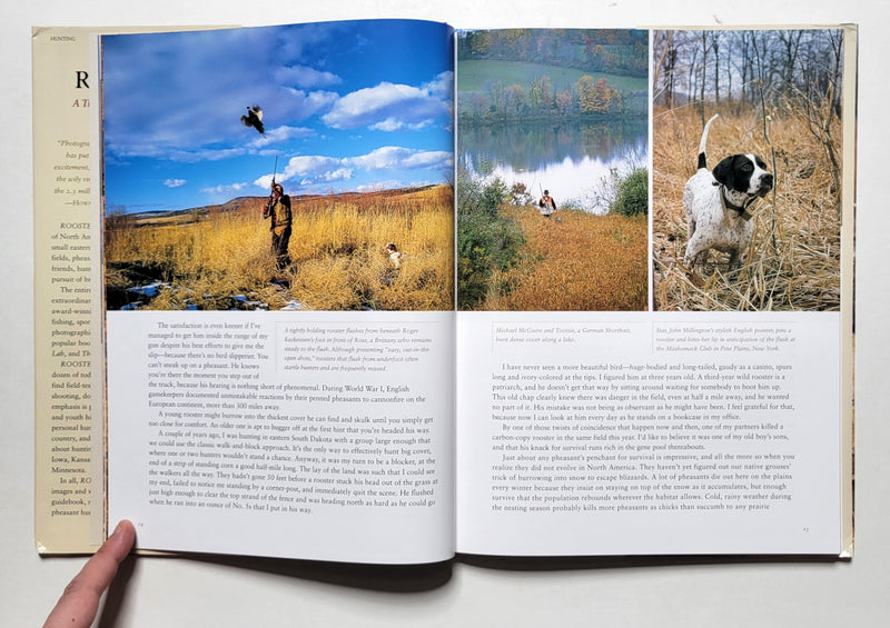 Rooster!: A Tribute to Pheasant Hunting