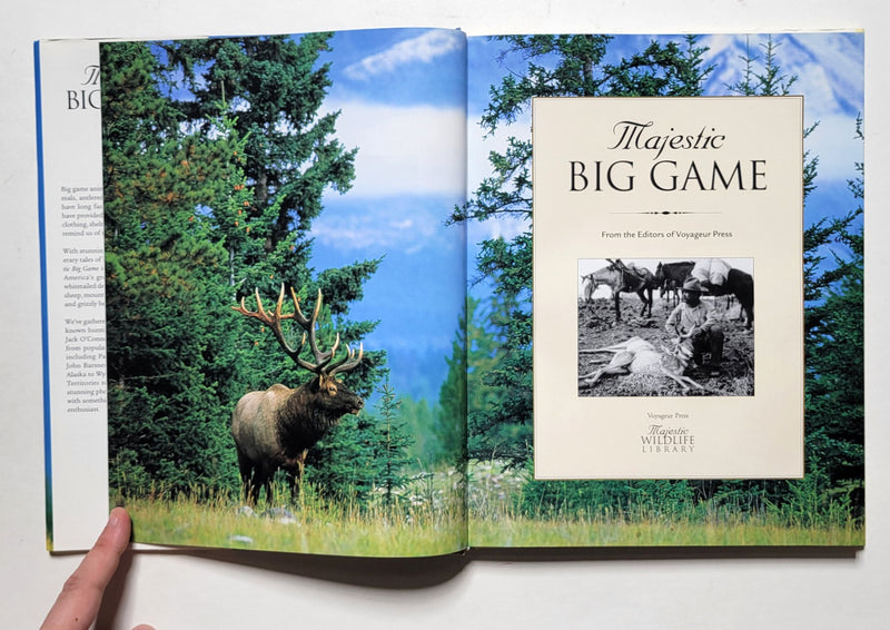 Majestic Big Game: The Ultimate Tribute to North America's Greatest Game Animals