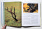 Majestic Big Game: The Ultimate Tribute to North America's Greatest Game Animals