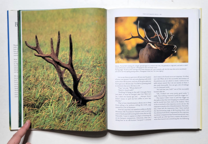 Majestic Big Game: The Ultimate Tribute to North America's Greatest Game Animals
