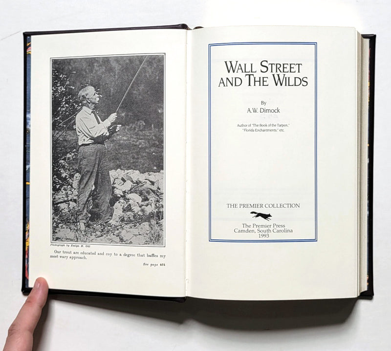 Wall Street and The Wilds